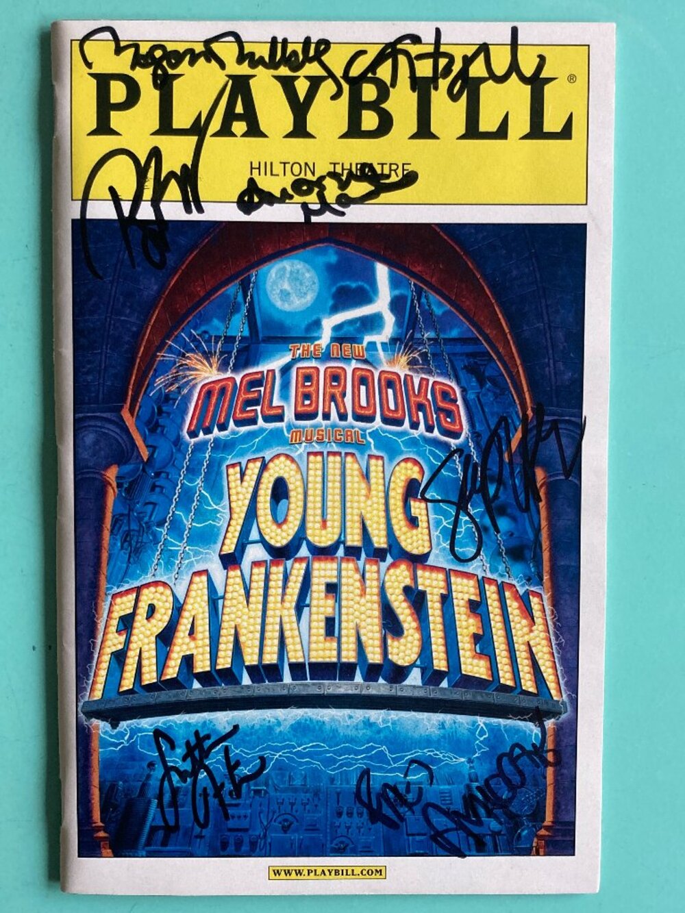 Signed Playbill Young Frankenstein Roger Bart SUTTON FOSTER MEGAN MULLALLY + 3